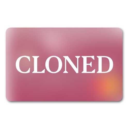 Cloned card 2500-3500 EUR balance (1CC)