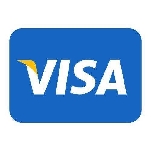 Visa Prepaid 3100 USD Balance x1